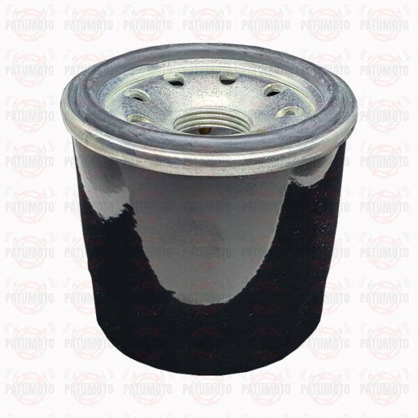 Filtro aceite bajaj 205