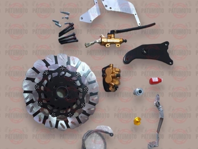 Sistema-freno-disco-trasero-Fz-16-venta-trasero.jpg